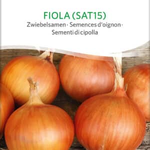 Løg - Fiola - ØKO