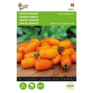 Tomat - Dattorange F1