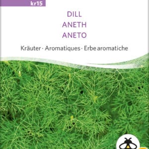 Dild- DILL - ØKO