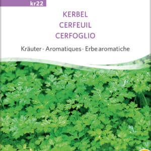 Kørvel - KERBEL - ØKO