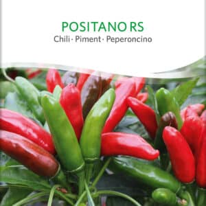 Chili - Positano RS - ØKO