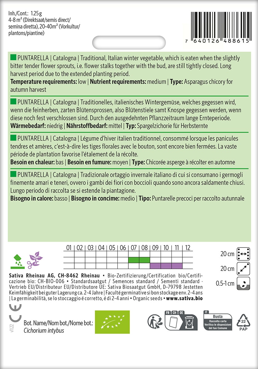 Cicoria - Julesalat - Puntarella Catalogna - ØKO - Billede 2