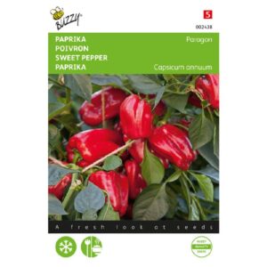 Peberfrugt - Paragon Rød F1 - Redskin