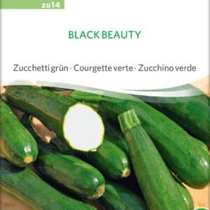 Squash - Black Beauty ØKO
