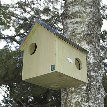 Egernhus med 3 huller og zink tag - Billede 2