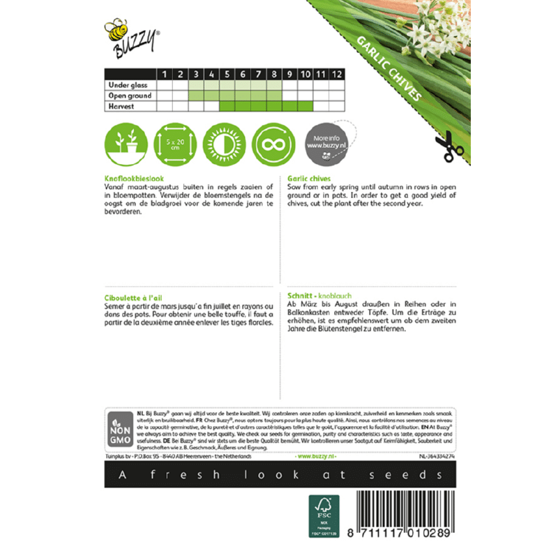Hvidløgs Purløg - Allium Tuberosum - Billede 2