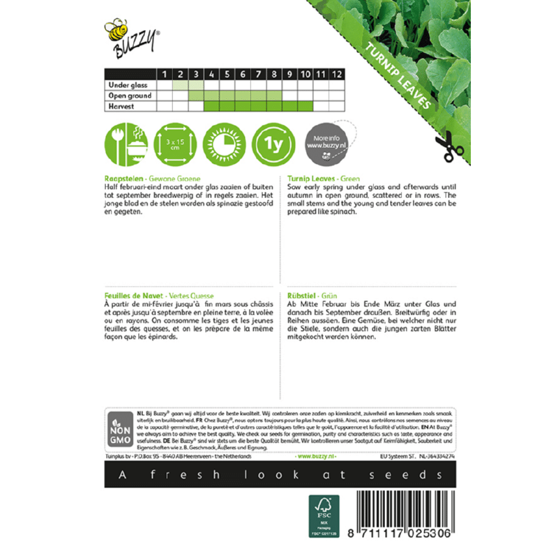 Majroe Blade - Brassica Rapa - Billede 2