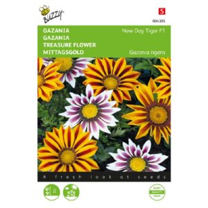 Gazania - New Day Tiger F1