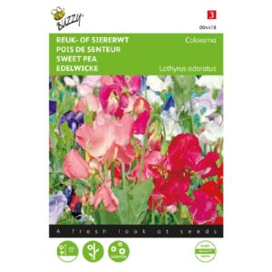 Ærteblomst - Colorama
