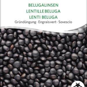 Linser - Beluga - ØKO