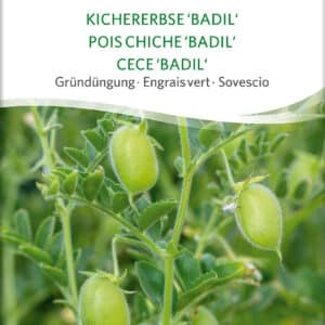 Kikærter - Badil - Cicer arietinum ØKO