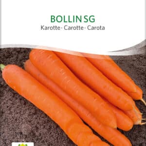 Gulerod - Bollin - ØKO