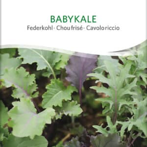 Asiatisk kål - Babykale - ØKO