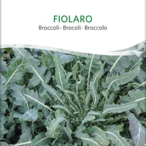 Broccoli - Fiolaro - ØKO
