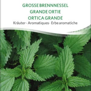 Stor Nælde - Stinging Nettle - ØKO