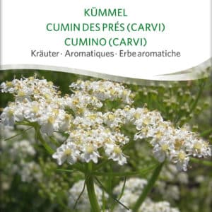 Kommen - Caraway - ØKO