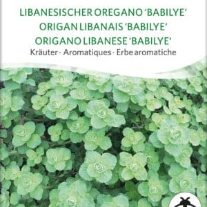Basilikum - Babilye - ØKO