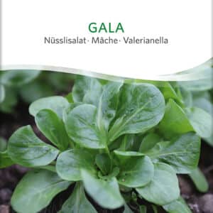 Feldsalat - Gala - ØKO