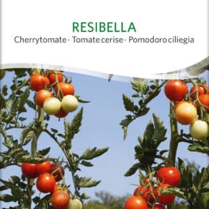 Tomat - Resibella - ØKO