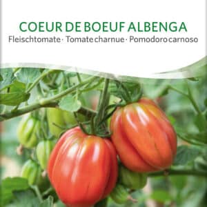 Tomat - Coeur DE Boeuf Albenga - ØKO