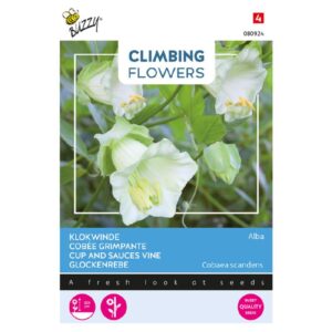 Klokkeranke - Cobaea Alba White