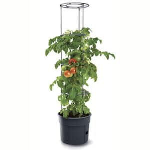 Tomatpotte 12 ltr m/espalier