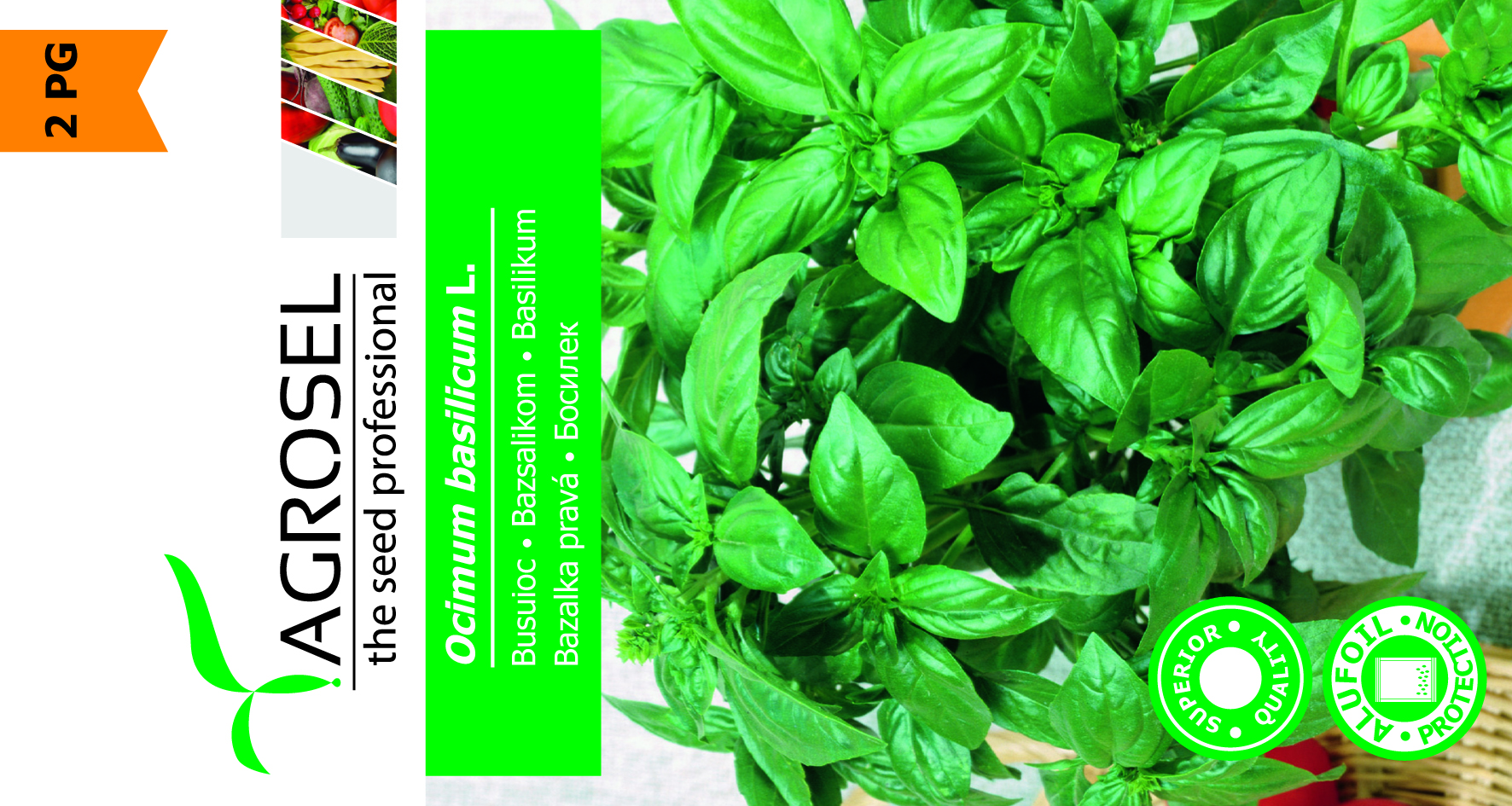 Basilikum - Ocimum Basilicum L. - Billede 2