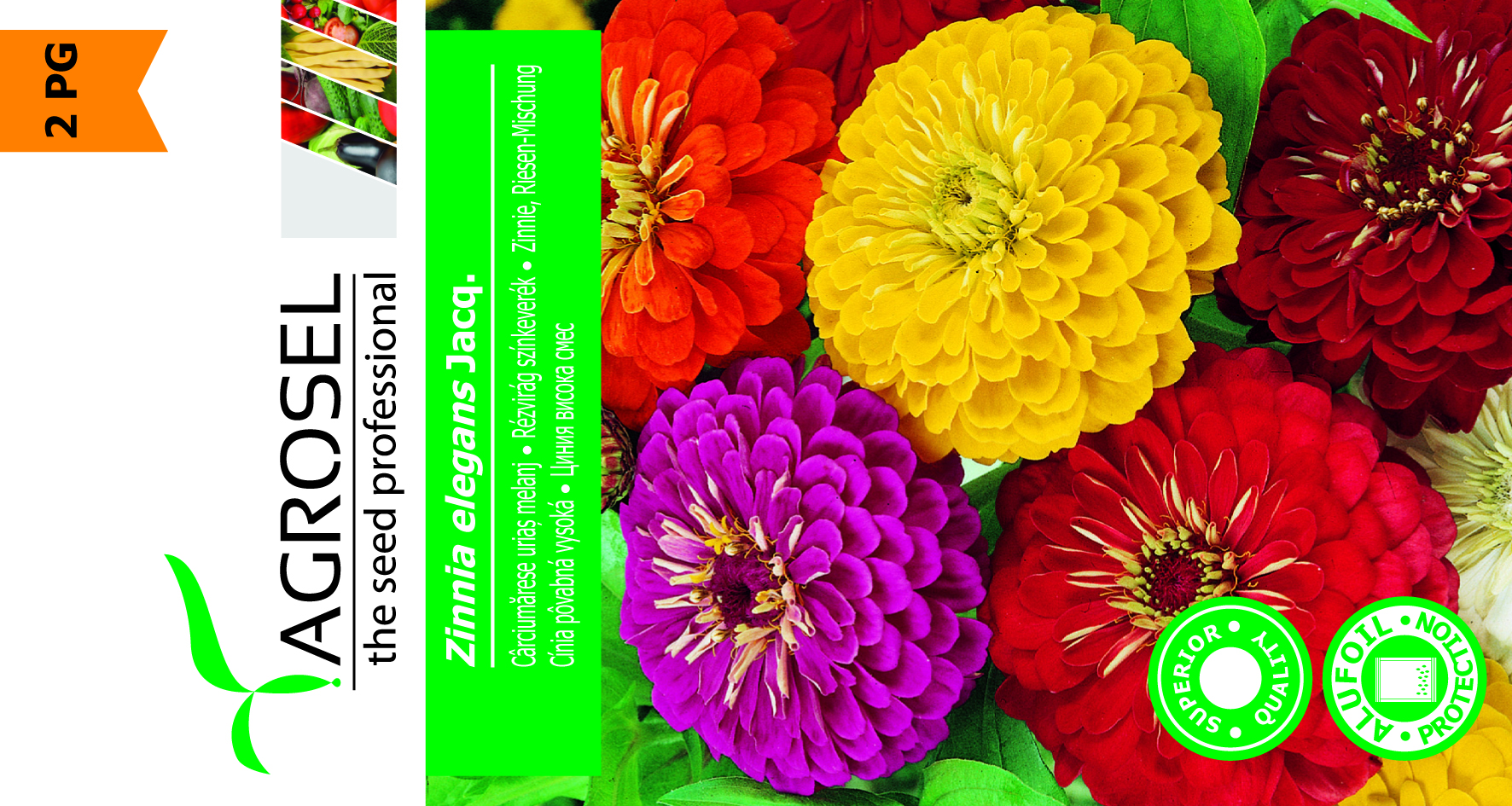 Frøkenhat - Zinnia Elegans Jacq - Billede 2