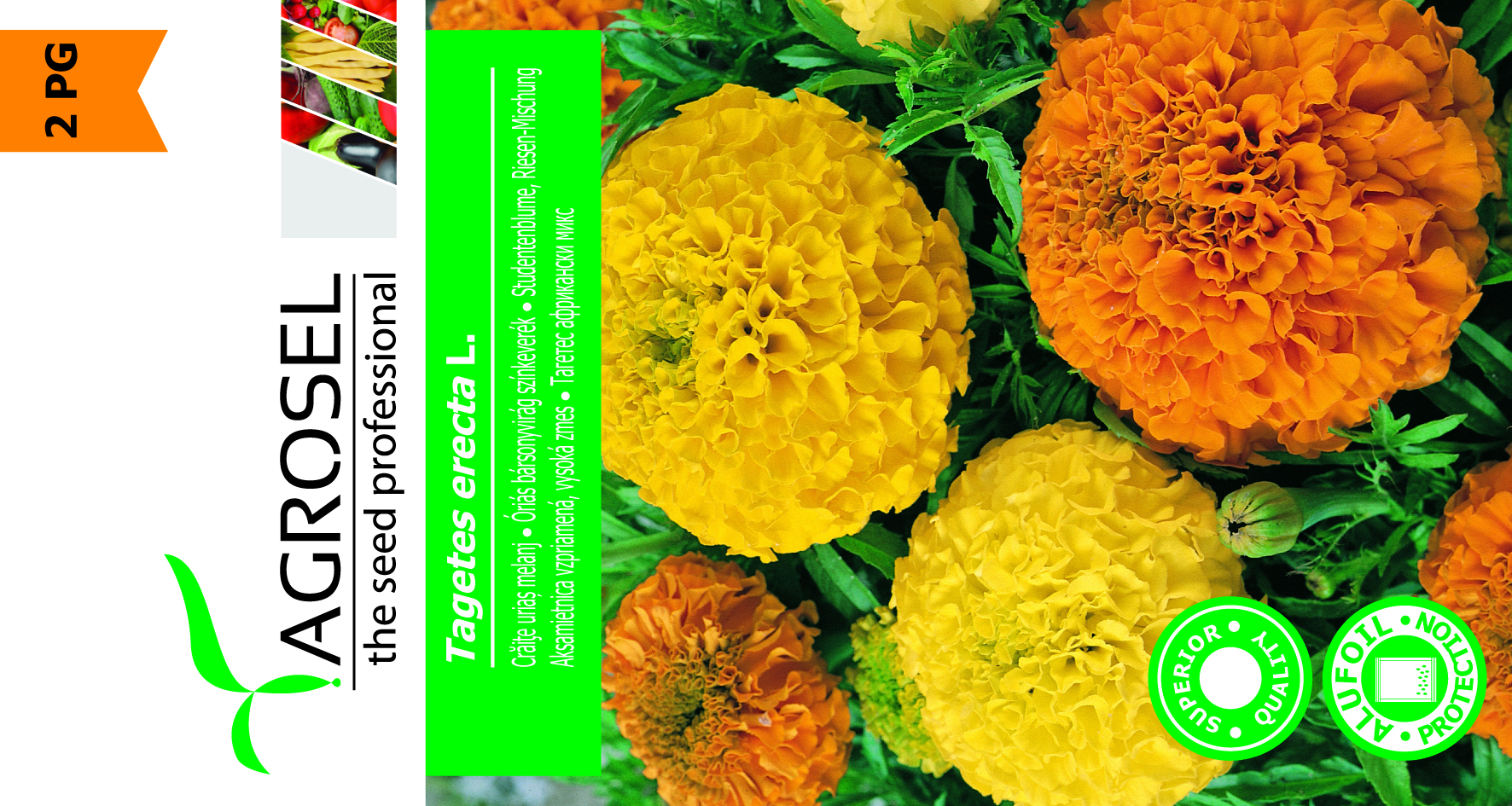 Tagetes Erecta - Billede 2