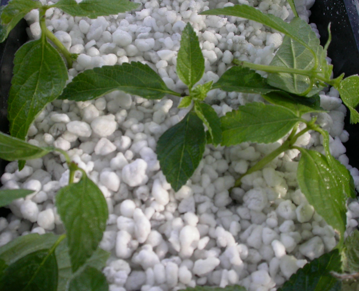 Perlite - Jordforbedring - 6Liter - Billede 2