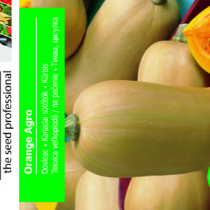 Græskar - Orange Agro - stor pk