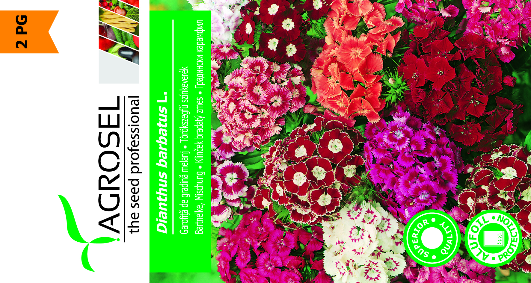 Studenternelliker - Dianthus Barbatus - Sweet William - PG2 - Billede 2