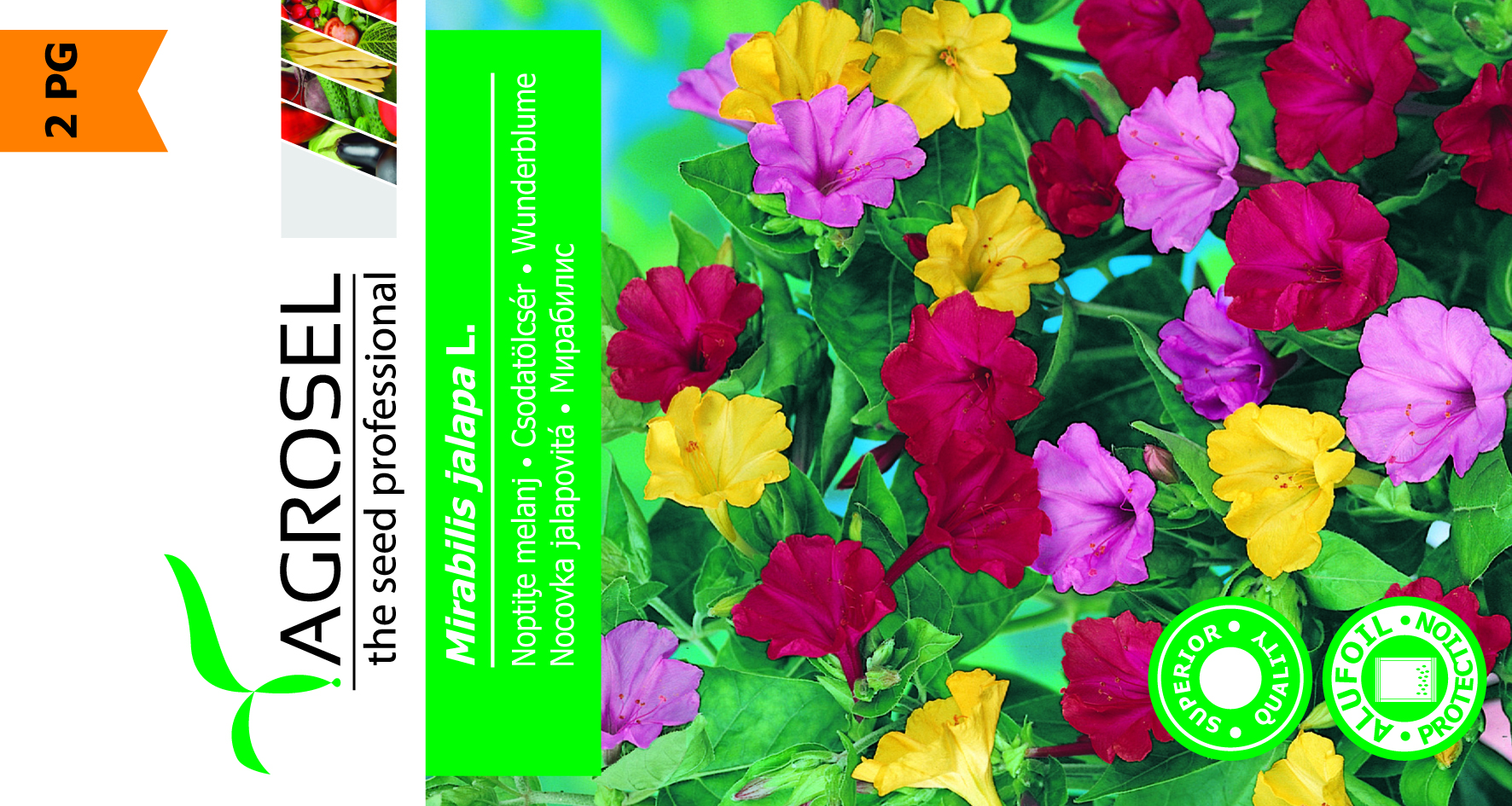 Vidunderblomst - Mirabilis Jalapa - Billede 2