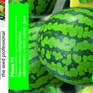 Vandmelon - Peace F1