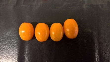Snacktomat - Rimmerhus Sweet Orange F1 - Billede 2