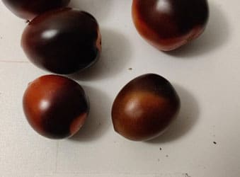 Snacktomat - Rimmerhus Black Magic F1 - Billede 3