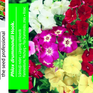 Sommer Floks, blandede farver - Phlox Drummondii