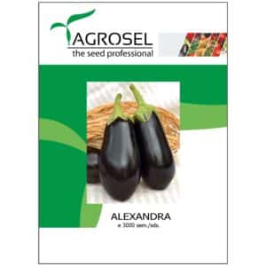 Aubergine - Alexandra - BIG-PACK