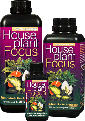 GT Houseplant Focus - Billede 2