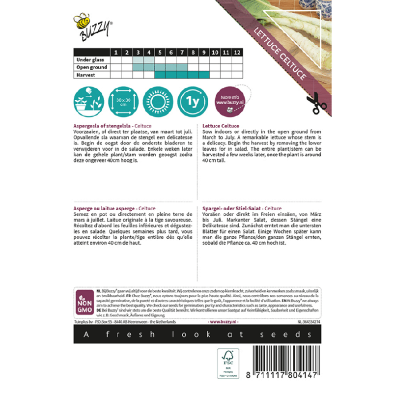 Aspargessalat - Celtuce - Lactuca sativa var. augustana - Billede 2