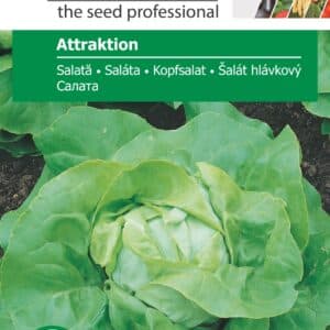 Attraktion Salat - Lille pakke - pg1