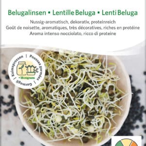 Øko / Biodynamisk beluga linse spire frø til mikro grønt