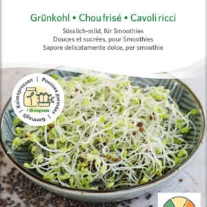 Øko / Biodynamisk palmekål spire frø til mikro grønt