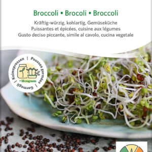 Øko / Biodynamisk broccoli spire frø til mikro grønt