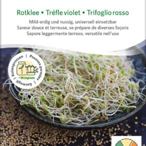 Øko / Biodynamisk rød kløver spire frø til mikro grønt
