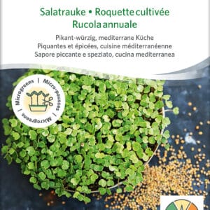 Øko / biodynamisk rucola spire frø til mikro grønt