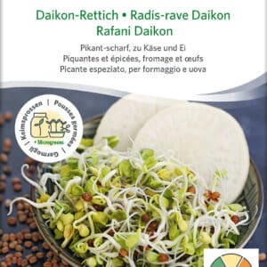 Øko / Biodynamisk diakon radise spire frø til mikro grønt