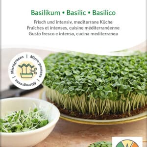 Øko / biodynamisk basilikum spire frø til mikro grønt