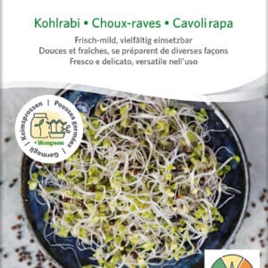 Øko / Biodynamisk kålrabi spire frø til mikro grønt