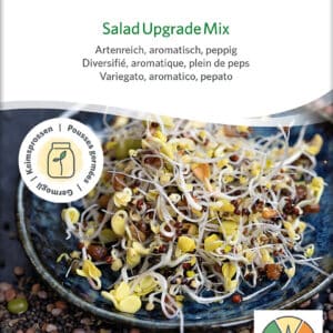 Øko / Biodynamisk salat mix spire frø til mikro grønt